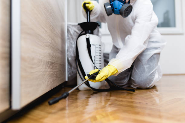 Best Cockroach Control Services  in Four Corners, TX