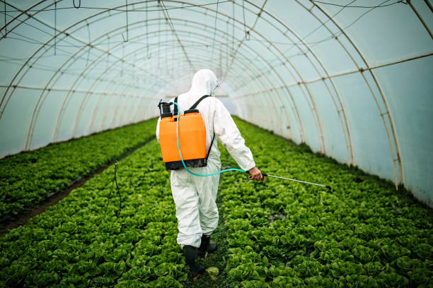 Best Best Pest Control Companies  in Four Corners, TX