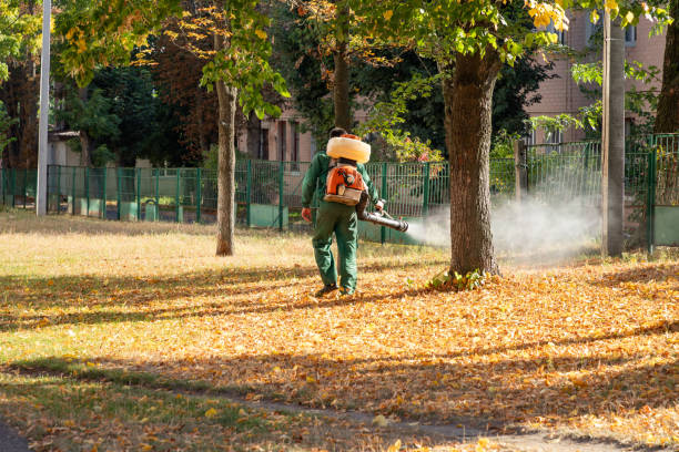 Professional Pest Control in Four Corners, TX